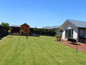 JD Building Home Backyard